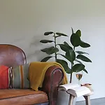 Frühstückspension La Paresse *