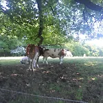 La Paresse Frühstückspension *