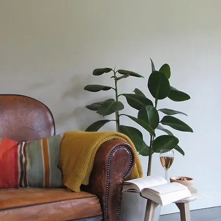 Bed and Breakfast La Paresse *