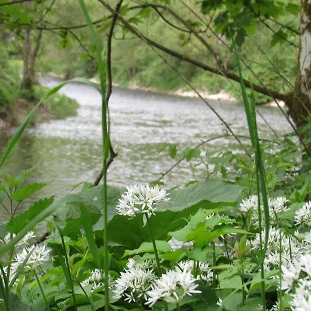 Bed & Breakfast La Paresse
