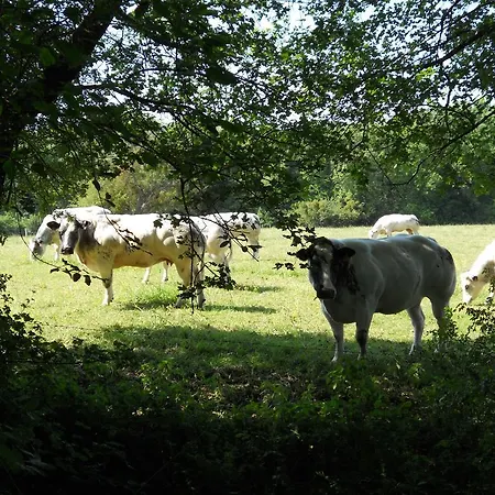 La Paresse Bed and Breakfast