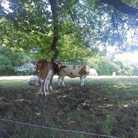 La Paresse Bed & Breakfast *