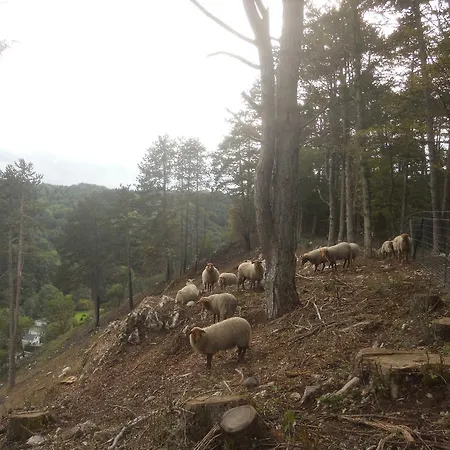 La Paresse *