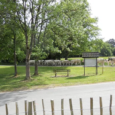 Bed and Breakfast La Paresse